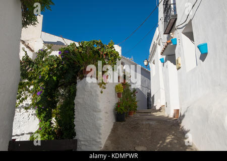 Salares vicino a Torrox e Competa, Andalusia, Spagna. Case bianche costruito dai mori compongono i graziosi villaggi bianchi vicino alla Costa del Sol Foto Stock