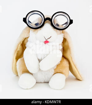 Long-eared bunny rabbit indossando silly pippo nerd occhiali. Foto Stock