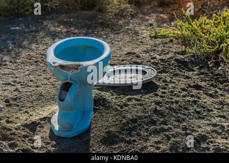 Ceramica Blu wc gettato nella natura Foto Stock