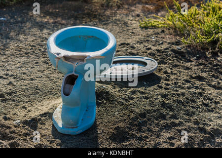 Ceramica Blu wc gettato nella natura Foto Stock