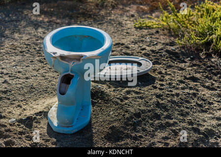 Ceramica Blu wc gettato nella natura Foto Stock