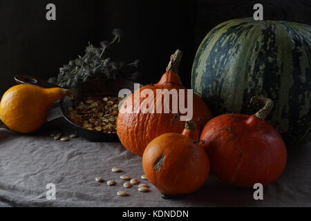 Ancora vita da diversi tipi di zucca e semi di zucca. in background una padella fritto con semi di girasole e le erbe aromatiche. Foto Stock