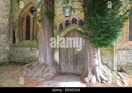 Porta nord fiancheggiata da alberi di tasso, st Edward's chiesa parrocchiale, Stow-su-il-wold, in Cotswolds, Regno Unito Foto Stock