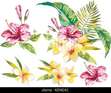 Set di grande raccolta di acquerelli con piante tropicali elementi - foglie, fiori. illustrazione botanica isolati su sfondo bianco natura floreale. Illustrazione Vettoriale