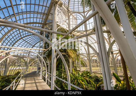 Interno della serra a Curitiba giardino botanico - Curitiba, PARANA, brasile Foto Stock