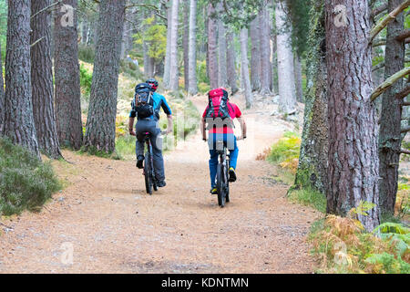 Due mountain bike su moto verso il lairig ghru passano dal rothiemurchus estate quando passano attraverso la foresta rothiemuchus Foto Stock