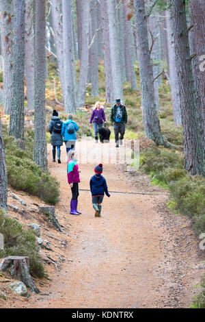 La gente a piedi lungo il sentiero che circonda l'loch un eilein nella foresta rothiemurchus sul rothiemurchus estate in autunno, SCOZIA Foto Stock