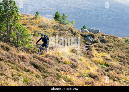 Un lone mountain biker utilizzando il sentiero attraverso il Lairig Ghru mountain pass da Braemar di Rothiemurchus Estate attraverso il Cairngorms, Scotland, Regno Unito Foto Stock