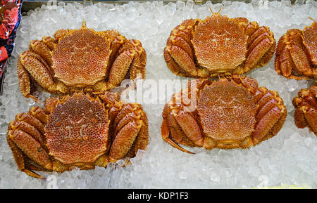 Re granchi al mercato asaichi nella città di Hakodate, Hokkaido, Giappone. Foto Stock