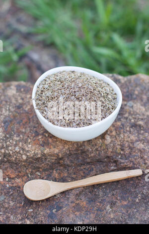 Semi di aneto in bianco coppa sopra di pietra con il cucchiaio di legno Foto Stock