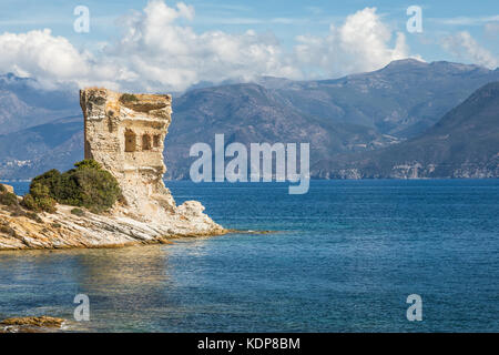 Resti della torre genovese alla mortella con un acque turchesi del mar mediterraneo e la costa rocciosa del deserto des Agriates vicino a St Florent in corsica wi Foto Stock