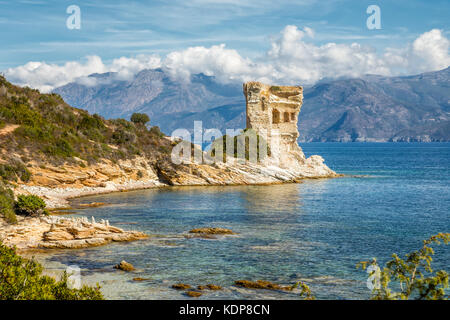 Resti della torre genovese alla mortella con un acque turchesi del mar mediterraneo e la costa rocciosa del deserto des Agriates vicino a St Florent in corsica wi Foto Stock