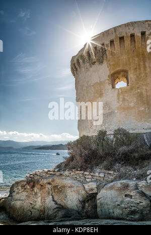 Resti della torre genovese alla mortella accanto al mare mediterraneo sulla costa rocciosa del deserto des Agriates vicino a St Florent in corsica Foto Stock