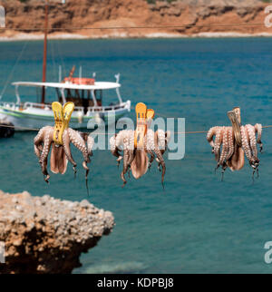 Polpo appeso ad asciugare sulla linea di un pescatore. Creta, Grecia. Ottobre 2017 Foto Stock