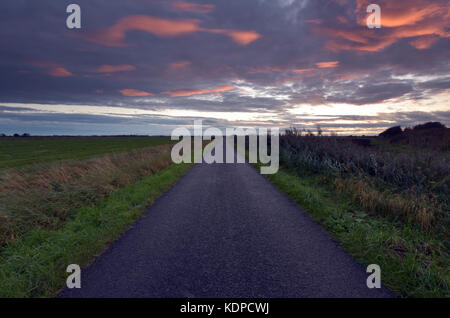 Una strada o corsia in Lincolnshire su le paludi in fenland rastremantesi in allontanamento nella distanza sotto un nuvoloso minaccioso cielo grigio. Foto Stock
