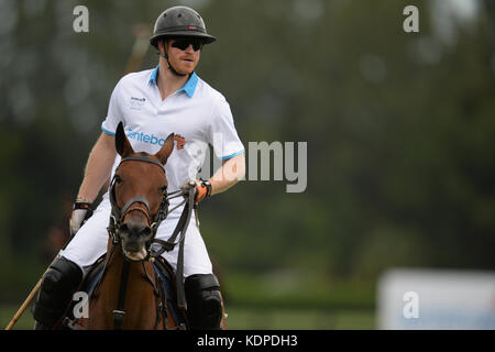 Wellington, FL - 04 MAGGIO: Il Principe Harry partecipa alla Sentebale Polo Cup Presentata dalla Royal Salute World Polo e tenuta alla Valiente Polo Farm Di Wellington Florida Con il Principe Harry il 4 maggio 2016 a Wellington, Florida. Persone: Prince Harry Transmission Ref: FLXX Credit: Hoo-Me.com/MediaPunch ***NO UK*** Foto Stock