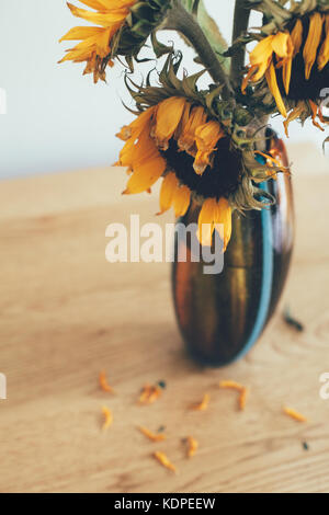 Morendo girasoli in un vaso, con petali caduti, su di un tavolo di legno Foto Stock