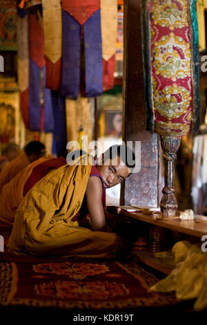 Monaci buddisti a Thikse Gompa, Ladakh, India settentrionale Foto Stock