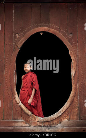 Myanmar, giovane debuttante i monaci buddisti vestito di vesti in piedi in legno finestre ovali a shwe yaunghwe kyaung monastero a nyaungshwe vicino lago inle Foto Stock