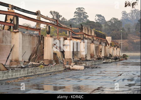 Santa Rosa, California, Stati Uniti. 10 ottobre 2017. Distruzione di Kmart durante l'incendio di Tubbs nella contea di Sonoma. Credito: Kraig Lieb Foto Stock