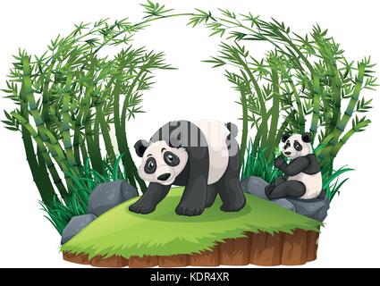 Due panda in foresta di bamboo illustrazione Illustrazione Vettoriale