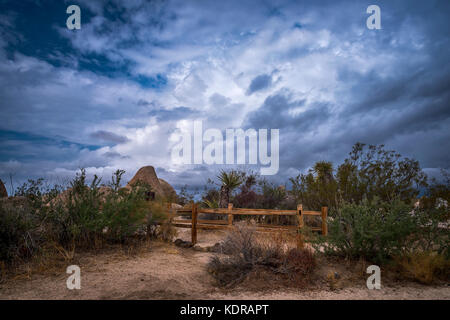 Le nuvole di tempesta che passano attraverso il deserto di Mojave in Joshua Tree mostrano un'ambientazione surreale del crepuscolo lungo un sentiero per campeggio. Foto Stock