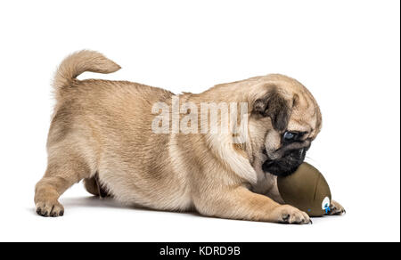 Pug cucciolo giocando con una sfera, isolato su bianco Foto Stock