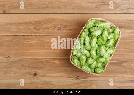 Fresco verde il luppolo vista superiore Foto Stock