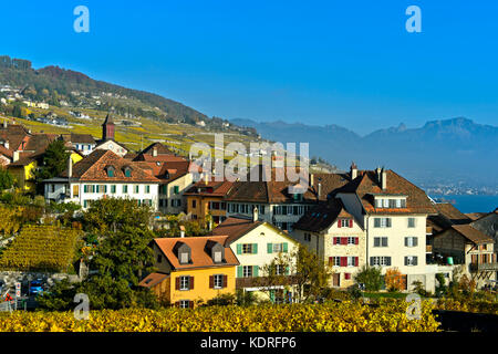 Viticoltura villaggio di rivaz nel vigneto di Lavaux, Vaud, Svizzera Foto Stock