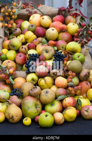 In autunno il display di frutta in collina vicino giardini giorno apple. Foto Stock