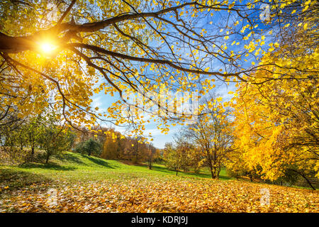 Sunny autunno in campagna Foto Stock