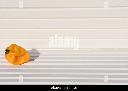 Fotografia di cibo di immagine giallo arancione Scotch Bonnet peperoncini rossi al sole con legno bianco sfondo naturale e prese sulla costa Sud Inghilterra REGNO UNITO Foto Stock
