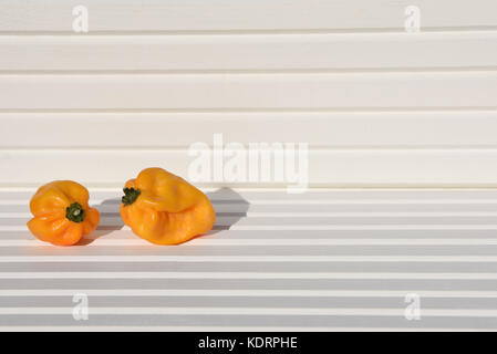 Fotografia di cibo di immagine giallo arancione Scotch Bonnet peperoncini rossi al sole con legno bianco sfondo naturale e prese sulla costa Sud Inghilterra REGNO UNITO Foto Stock
