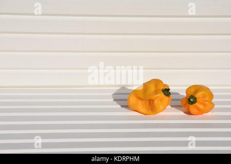 Fotografia di cibo di immagine giallo arancione Scotch Bonnet peperoncini rossi al sole con legno bianco sfondo naturale e prese sulla costa Sud Inghilterra REGNO UNITO Foto Stock