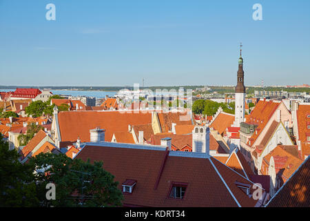 Panorama della città vecchia di Tallinn in una limpida giornata di sole Foto Stock