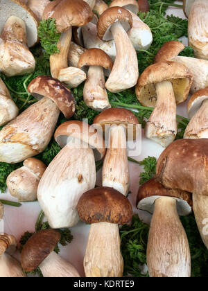 Selezione di foraged fresco funghi selvatici Foto Stock