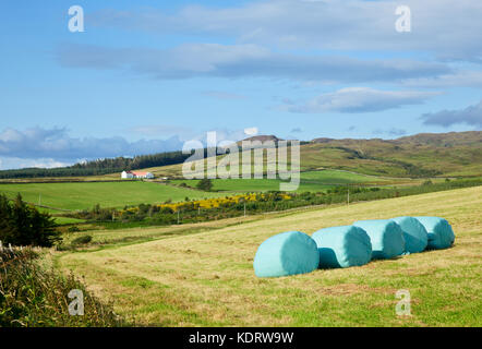 Riga di plastica avvolgere balle di fieno su un campo con la fattoria in background Foto Stock