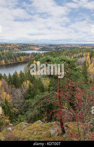 Vista panoramica di un lago e di una foresta in autunno dall'alto nel parco nazionale Aulanko di Hämeenlinna, Finlandia. Foto Stock