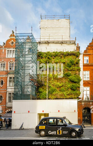 Sviluppo sostenibile: Soggiorno parete verde sul ponteggio sul fronte della Piazza San Marco Chiesa, precedentemente uno Mayfair, North Audley Street, London W1 Foto Stock