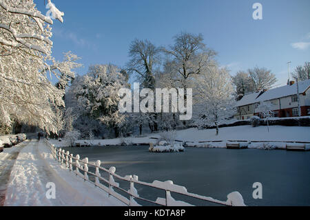 Holden pond,southborough nella neve Foto Stock