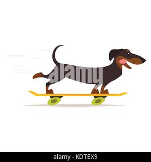 Vettore stile fumetto illustrazione della cute del cane bassotto skateboard equitazione, isolato su sfondo bianco. Illustrazione Vettoriale