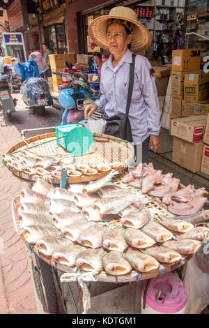 Cucina di strada venditore a vendere pesce essiccati da un mobile food cart, Chinatown, Bangkok, Thailandia Foto Stock