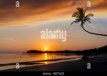 Beautiful golden sunrise sulla spiaggia sabbiosa sull'isola di Bintan in Indonesia con silhouette di coppia non identificabili rovistando conchiglie e cocco univoco Foto Stock