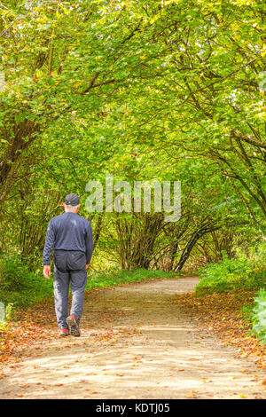 Maschio solitario rambler passeggiate lungo un percorso chiuso su una soleggiata giornata autunnale. Foto Stock