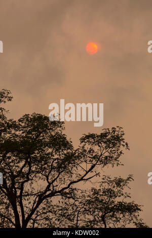 Bournemouth Dorset, Regno Unito. Xvi oct, 2017. Regno Unito: meteo eerie rosso sole fa capolino tra le nuvole la creazione di moody illuminazione. Il sole rosso causata dalla polvere sahariana portato dall uragano Ofelia. Credito: Carolyn Jenkins/Alamy Live News Foto Stock