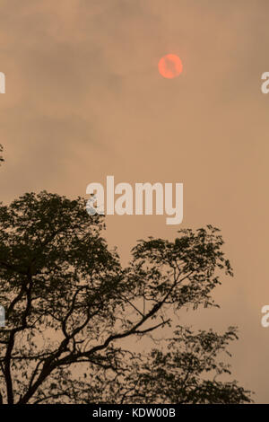 Bournemouth Dorset, Regno Unito. Xvi oct, 2017. Regno Unito: meteo eerie rosso sole fa capolino tra le nuvole la creazione di moody illuminazione. Il sole rosso causata dalla polvere sahariana portato dall uragano Ofelia. Credito: Carolyn Jenkins/Alamy Live News Foto Stock