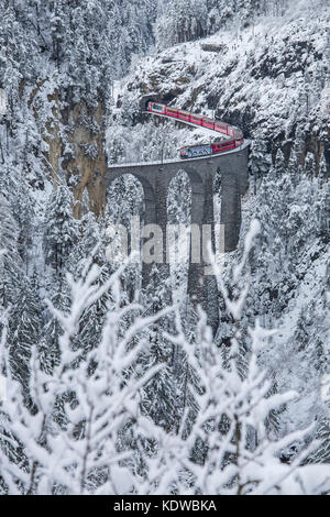 Bernina Express sul Landwasser Viadukt incorniciato da boschi innevati Filisur Valle dell Albula Cantone dei Grigioni Svizzera Europa Foto Stock