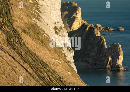 Gli escursionisti sul sentiero costiero di cui sopra porta Durdle, Purbeck, Jurassic Coast, Dorset, England, Regno Unito Foto Stock