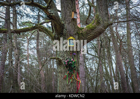 Piccolo santuario su un albero nella foresta di Kampinos (in polacco: Puszcza Kampinoska) - grande complesso forestale situato nel Voivodato Masoviano, a ovest di Varsavia in Polan Foto Stock