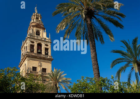 Cattedrale, vecchia moschea araba - Il minareto, Cordoba, regione dell'Andalusia, Spagna, Europa Foto Stock